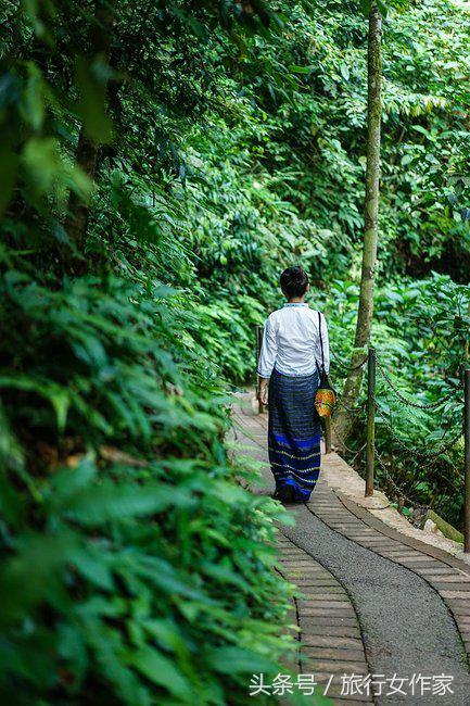 西双版纳避寒城市,冬日西双版纳市区