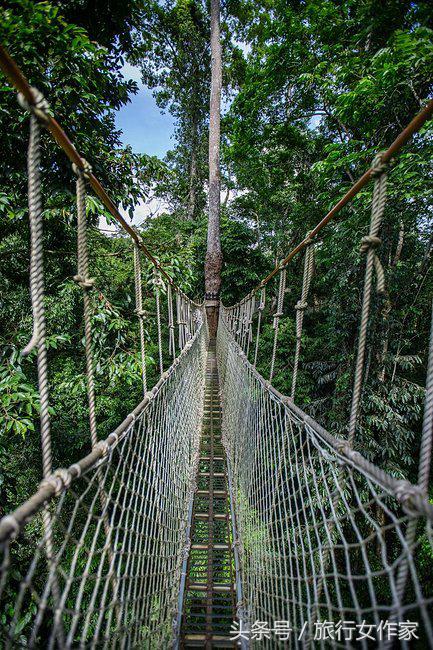 西双版纳避寒城市,冬日西双版纳市区