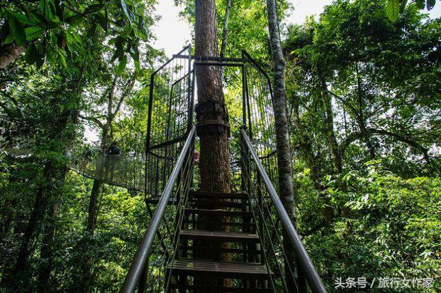 西双版纳避寒城市,冬日西双版纳市区