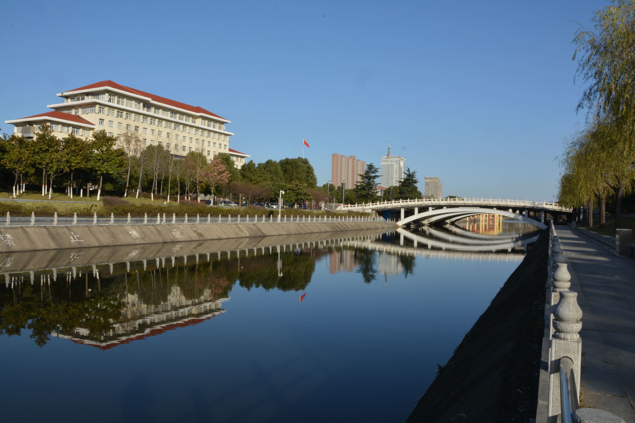 尼康D5200扫街，狗头基本够用