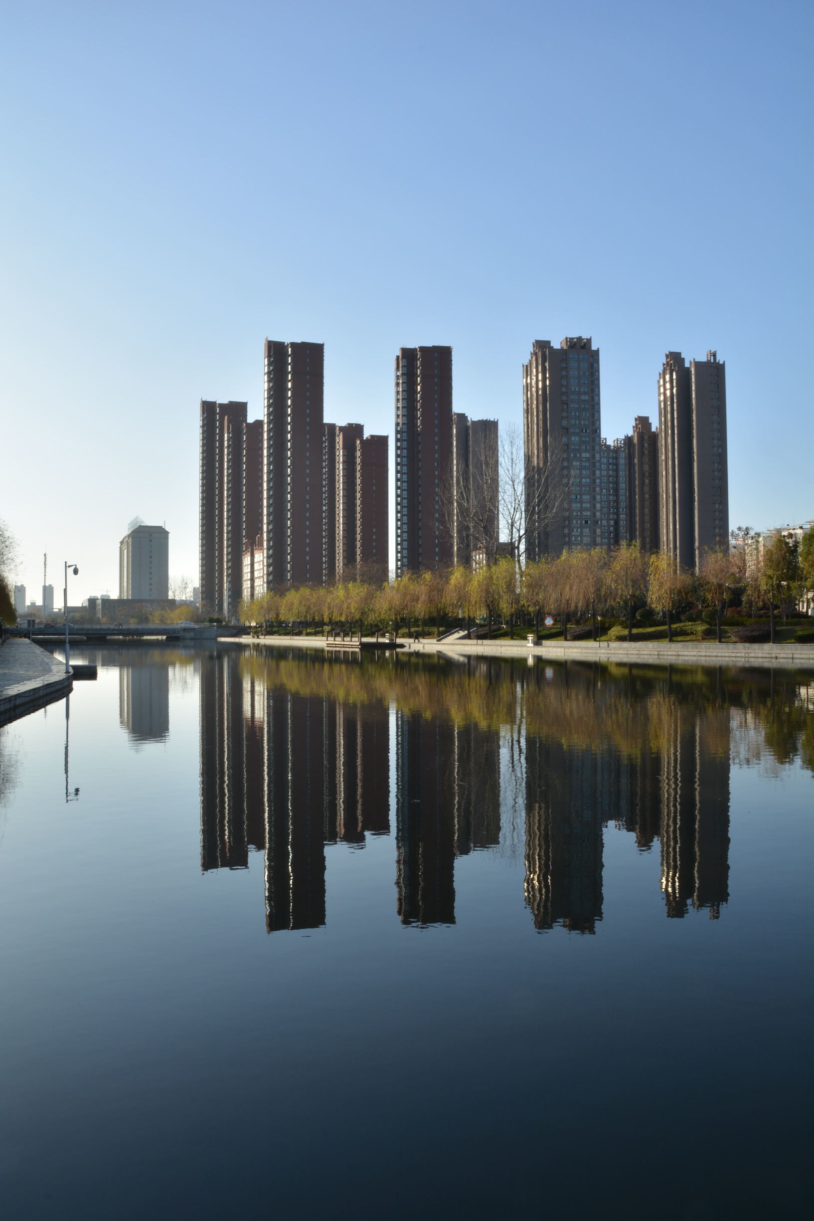 尼康D5200扫街，狗头基本够用