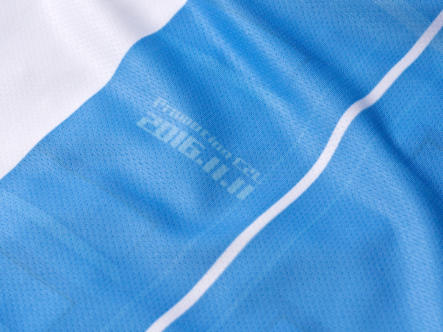 上海申梵揭晓新赛季球衣,卡尔美薄荷绿足球服