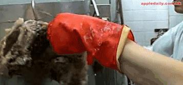 香港这家传统小吃牛肉汤店,明星经常光顾的香港牛腩店