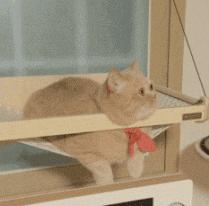 分享·听说圣诞节要来了，吃了这波毒安利