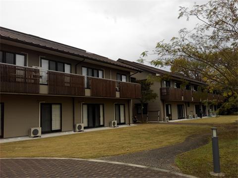 在外国体验富人生活,在国外生活体验