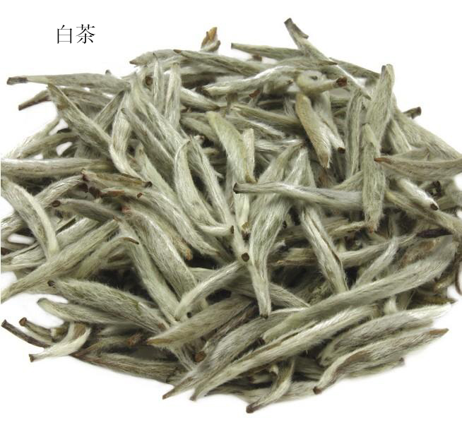 白茶到底是什么样子的,白茶真的有那么神奇