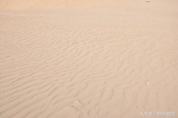 野鹅自驾红井路,野鹅自驾游最新视频