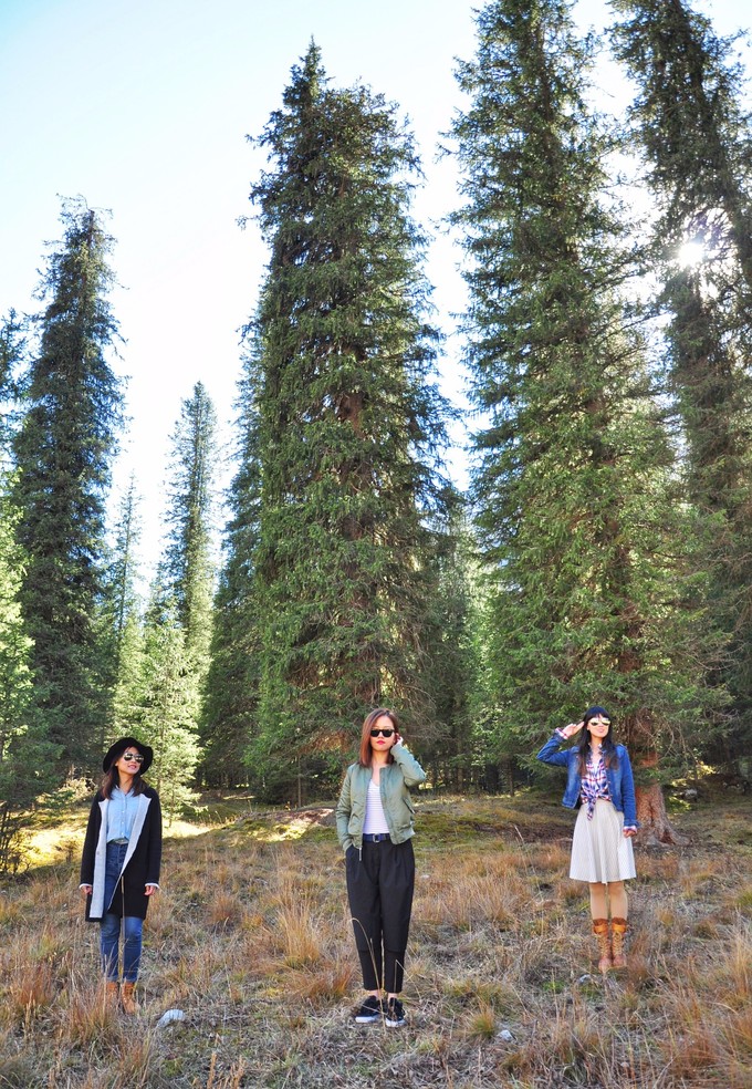 入疆旅行的风景,南北疆大环线旅游风景