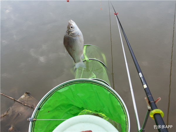 鱼口轻用几克铅,鱼口不断遛鱼也很过瘾