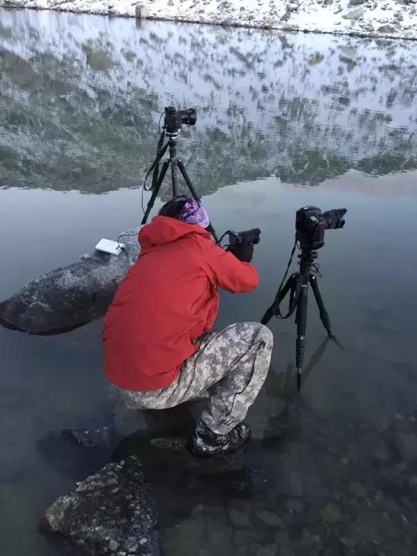 投稿|为什么摄影师被盗图就集体炸毛?