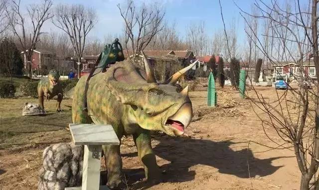 12月23号开幕啦！冰雪奇缘圣诞狂欢！中西合璧庙会美食啥都有