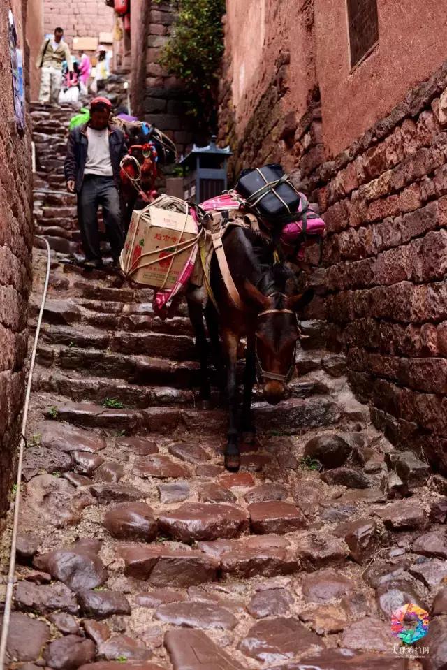 大理深度游攻略 (大理蜜月旅拍摄影攻略)