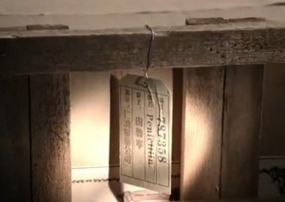 青霉素的发明与发现,青霉素的发现是20世纪最伟大的