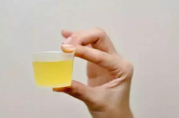 以油去油洗涤剂,以油溶油清洗抽油烟机