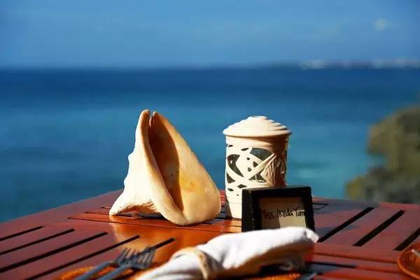 旅游签证入关遣返问题,出国旅游被遣返的真实原因