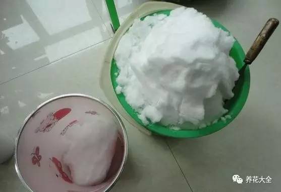 雪水、食盐、白糖、维生素,能让花枝繁叶茂,你信不信?