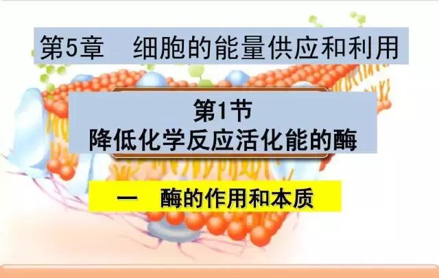 听说你想用「酵素」瘦身，那还不如多喝酸奶！