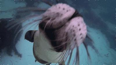 年末优惠｜2016年12月日上免税店最新价格