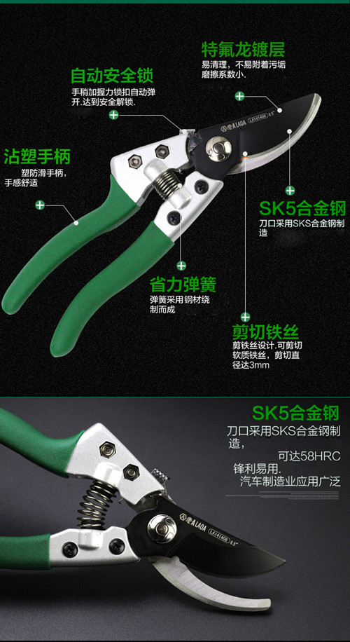 鍥灄鍓灊鍓垁,鍥灄缁垮寲鍓垁