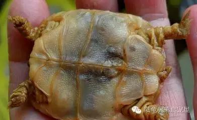 其实原因,其实所有的问题都源来于自身问题