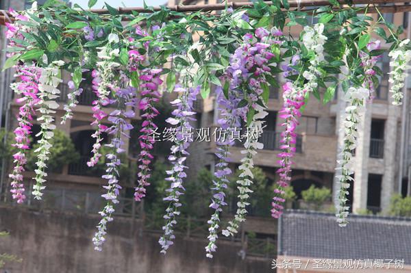 紫藤花室内装饰,紫藤花装饰长廊