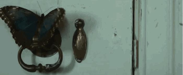 他被纳粹*害迫**，“玩拼图”玩出诺贝尔奖，打脸《Nature》