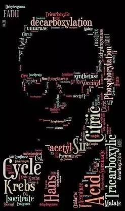 他被纳粹*害迫**，“玩拼图”玩出诺贝尔奖，打脸《Nature》