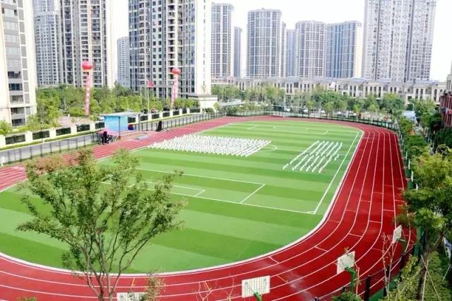 看完振奋，下应东南片区教育配套大爆发！