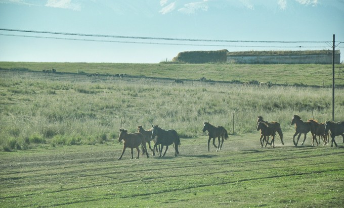 入疆旅行的风景,南北疆大环线旅游风景
