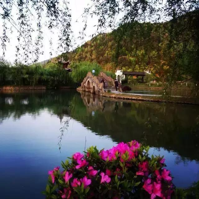 当新西兰的空气叫卖到699元每罐的时候，咱婺源人民不淡定了！