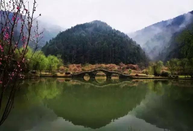 当新西兰的空气叫卖到699元每罐的时候，咱婺源人民不淡定了！