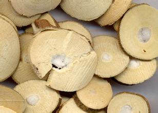 桑树全身上下可入药,桑树哪些部位可以入药及功效