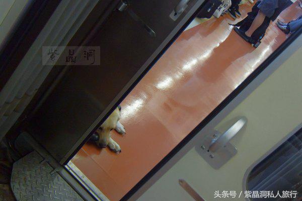 大江户温泉上海大场,日本热海大江户温泉