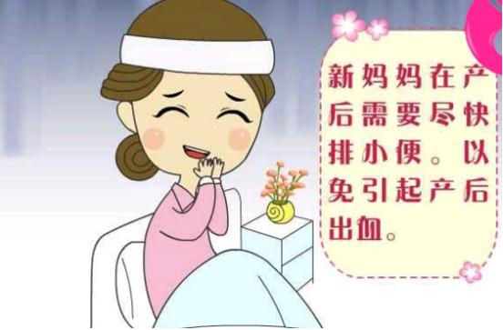 孕妇产后排尿困难怎么办,母羊产后排尿困难咋办