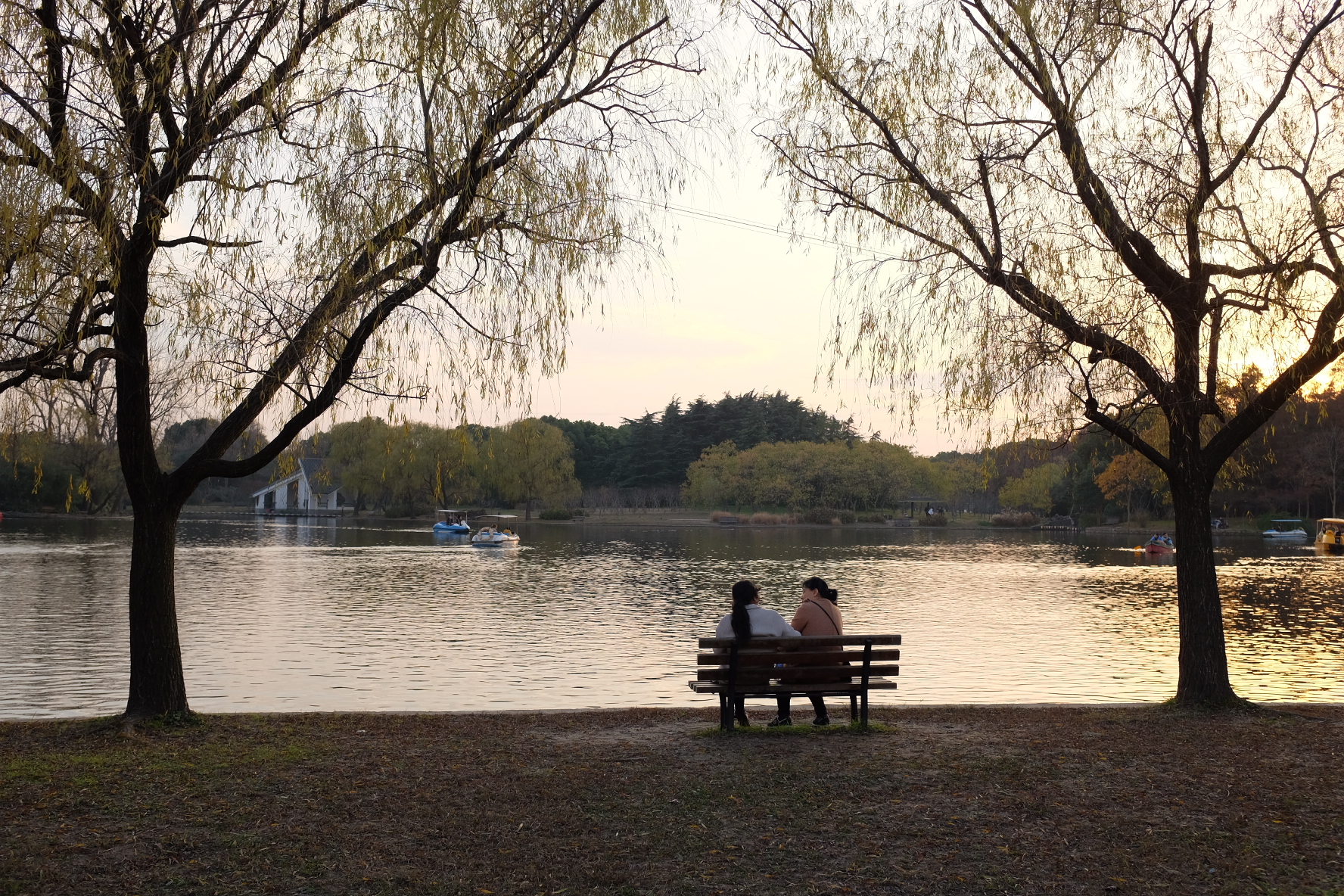 巧用日光白平衡，记录绚烂秋色