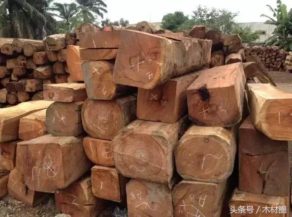 刺猬紫檀、染料紫檀、小巴花等非洲原木最新报价