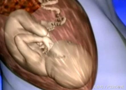 待产信号和临产征兆,临产讲解