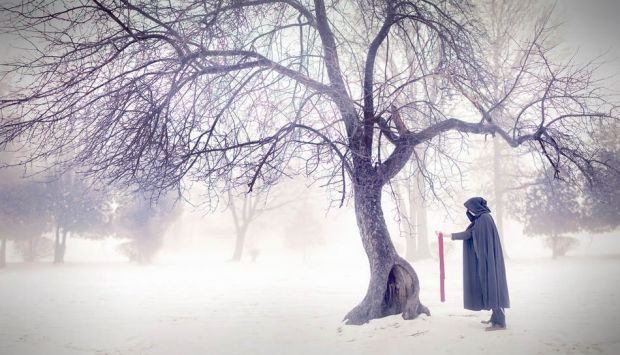 中医大师如何治疗抑郁症,抑郁症的中医疗法