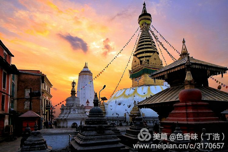 探秘尼泊尔牧羊人,探秘尼泊尔国家森林公园