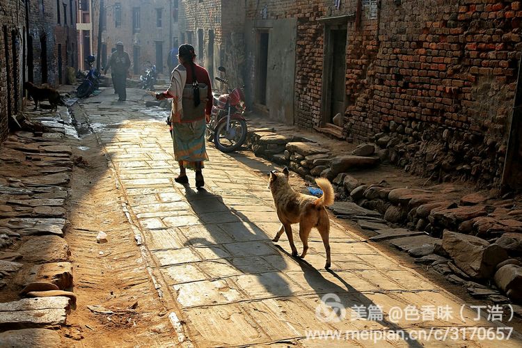 探秘尼泊尔牧羊人,探秘尼泊尔国家森林公园