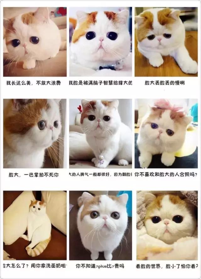 发型真的可以让脸看起来小一些嘛,适合大脸妹的减龄发型