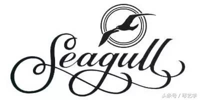 乐器推荐尤克里里,海鸥吉他最值得买的款式