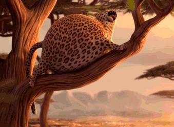 中医朱小宝同仁堂,中医朱小宝紫草膏