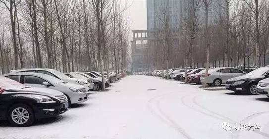 雪水、食盐、白糖、维生素,能让花枝繁叶茂,你信不信?