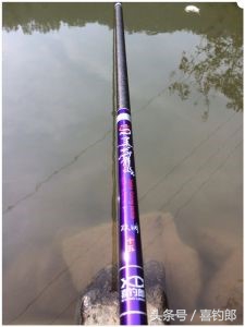 黑龙鲫短节手竿,黑龙鱼竿