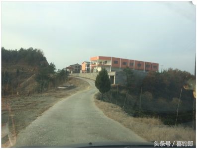 黑龙鲫短节手竿,黑龙鱼竿