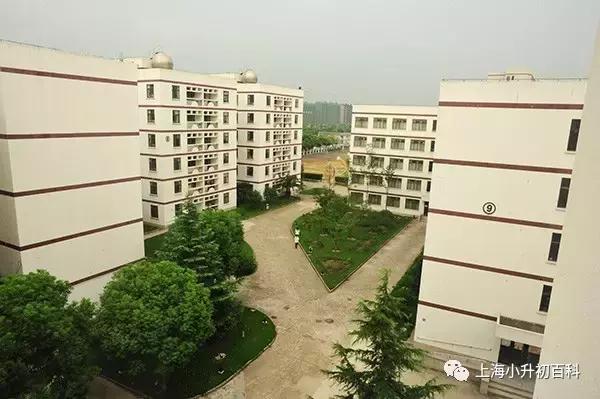 浦东外国语初中好吗,上海浦东新区学校的升学攻略