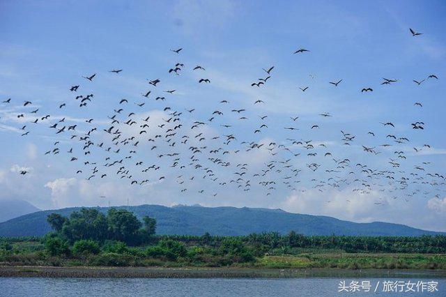 西双版纳避寒城市,冬日西双版纳市区