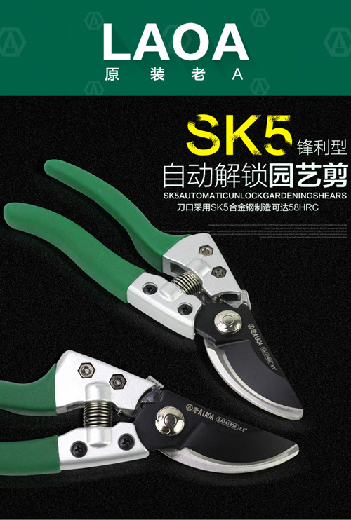 鍥灄鍓灊鍓垁,鍥灄缁垮寲鍓垁