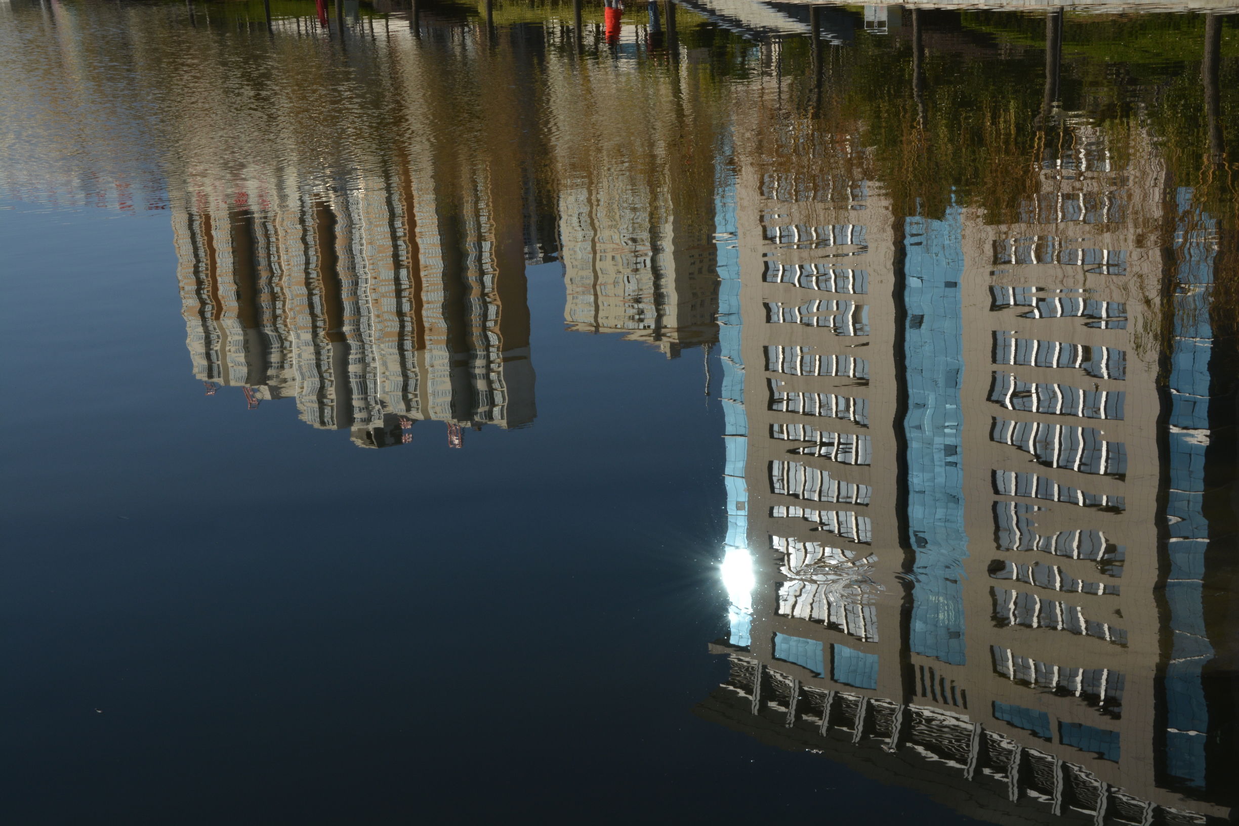 尼康D5200扫街，狗头基本够用